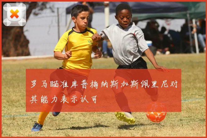 罗马瞄准库普梅纳斯加斯佩里尼对其能力表示认可