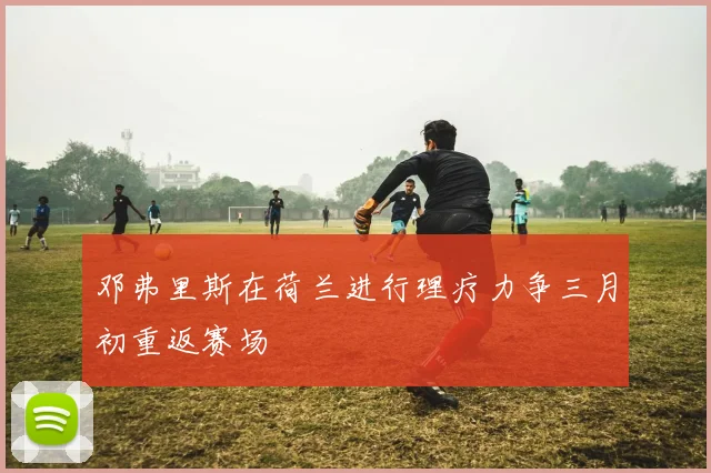 邓弗里斯在荷兰进行理疗力争三月初重返赛场