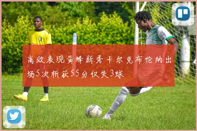 高效表现黄蜂新秀卡尔克布伦纳出场5次斩获55分仅失3球